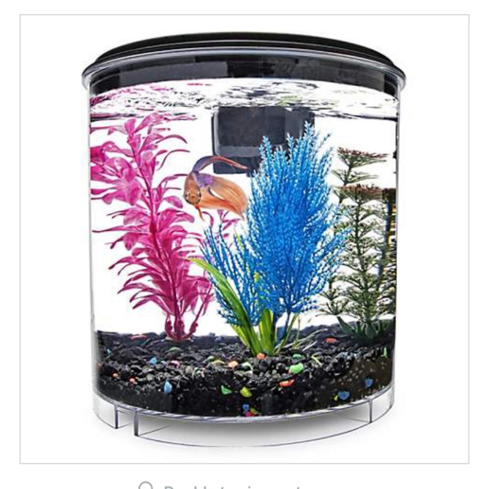 2 Gallon Fish Tank - Picture 2 of 3